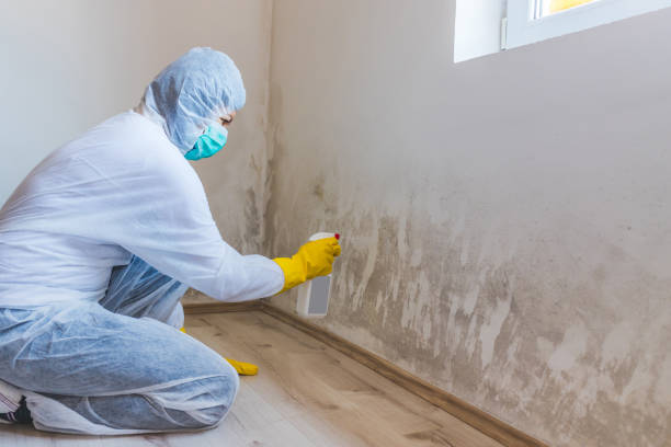 Licensed Commercial Mold Remediation service in Florence, KY - WQB Mold Removal