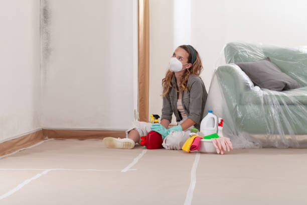 Reliable Commercial Mold Remediation contractor in Florence, KY by WQB Mold Removal